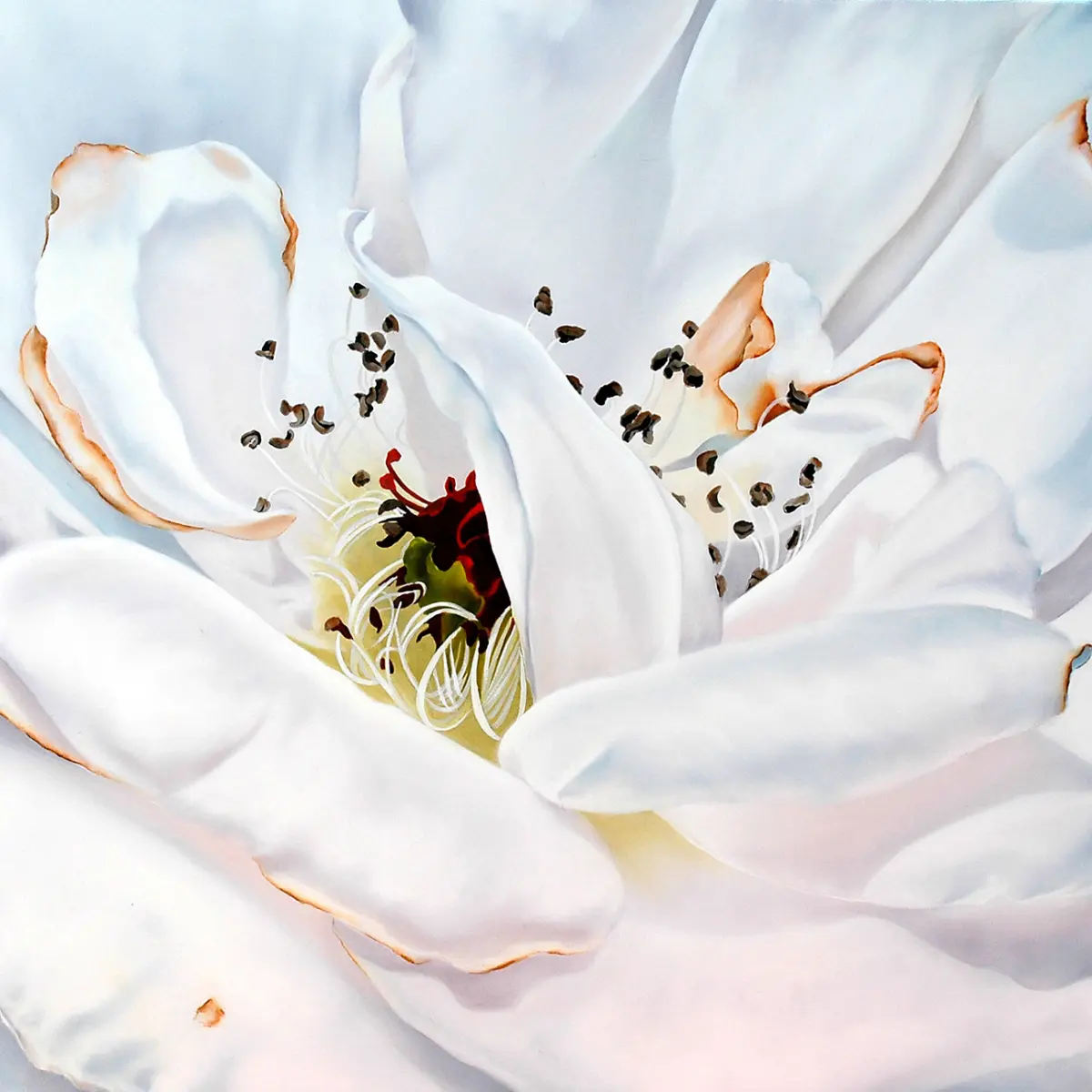 I Love White Paintings