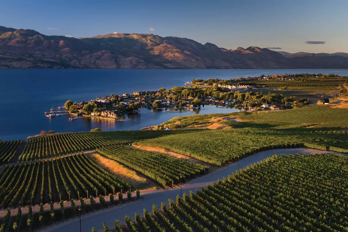 8 Wineries to Visit in British Columbia's Okanagan Valley
