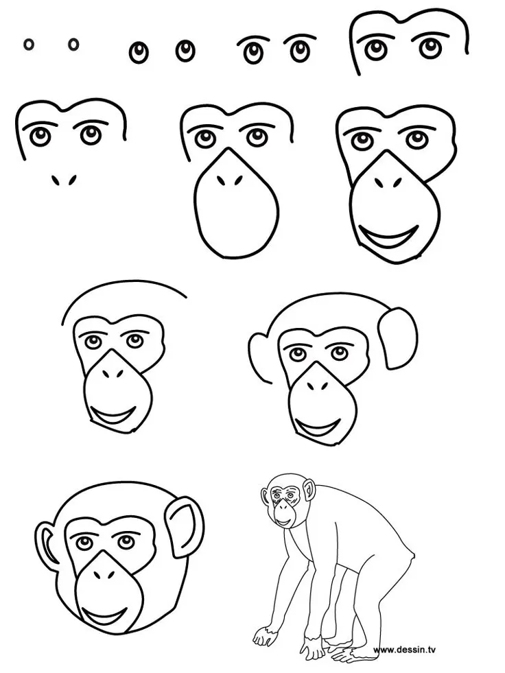 Drawing chimpanzee