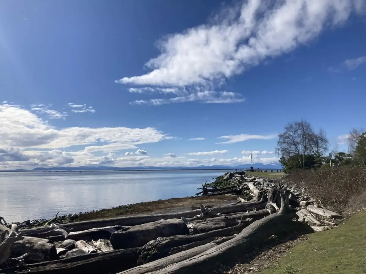 The Best things to do in Richmond, BC