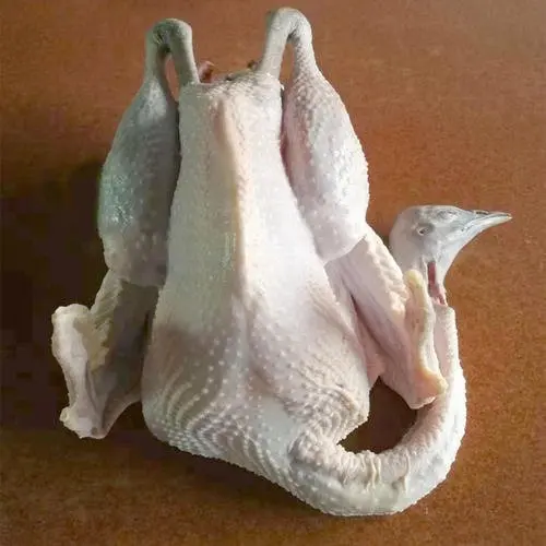 Do people eat peacock meat?