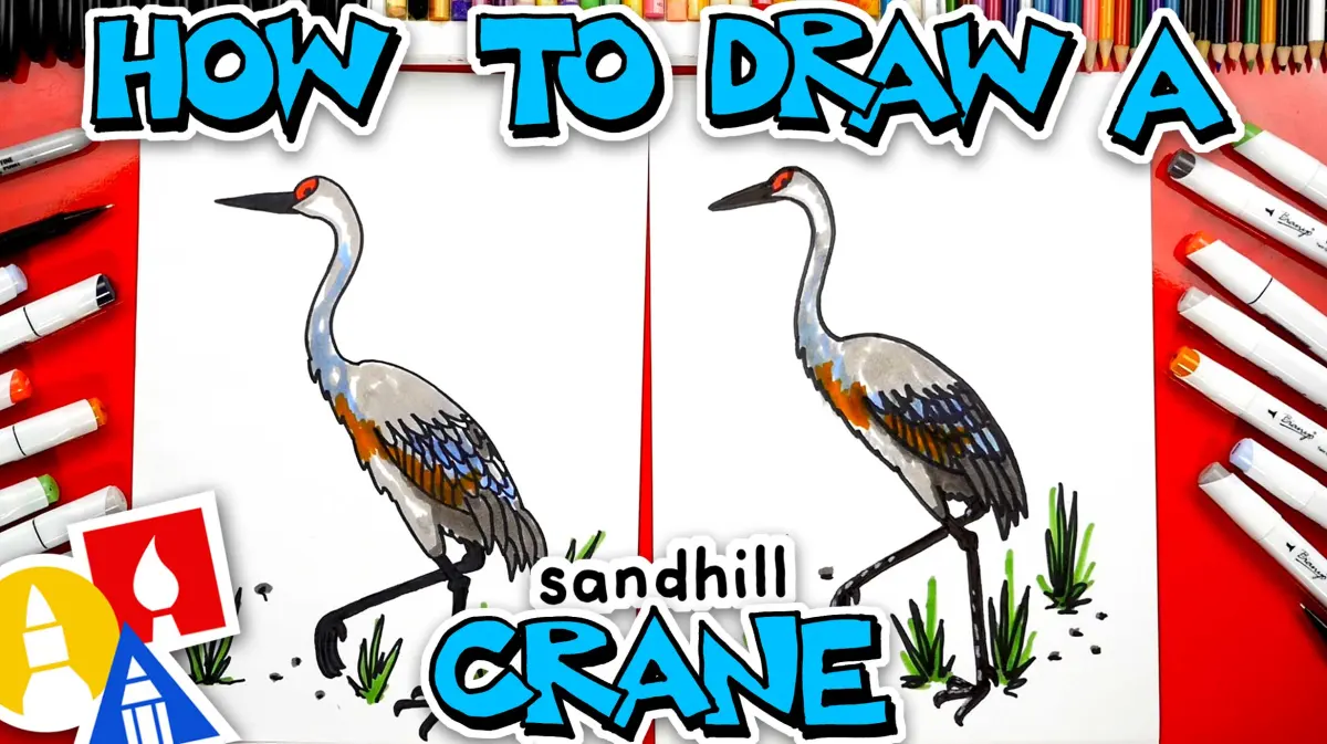 How To Draw A Sandhill Crane Bird