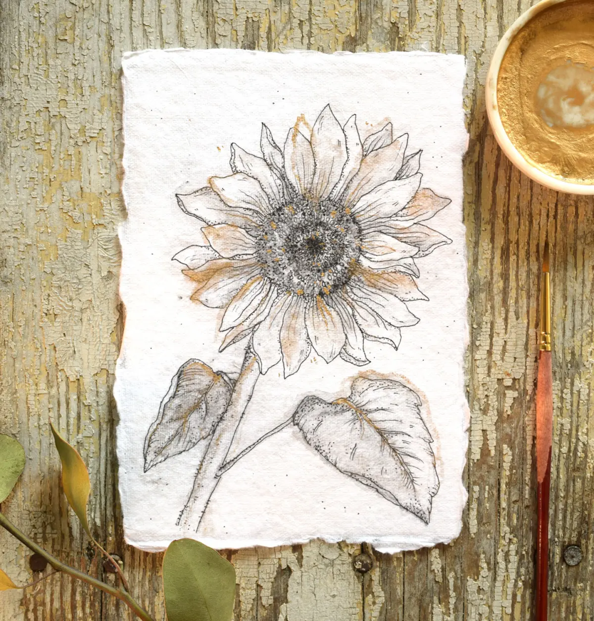 How to Draw Flowers Part 3: Sunflower