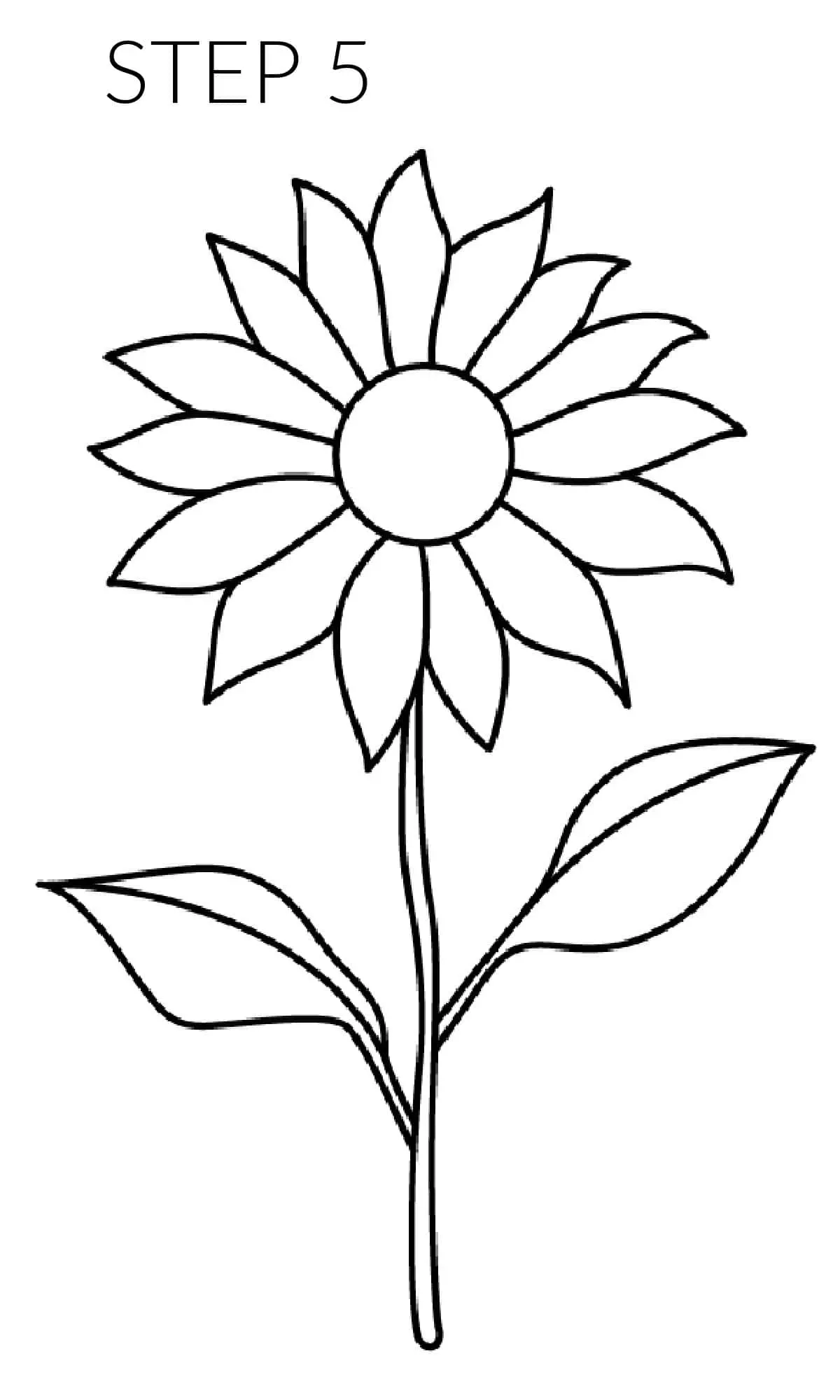 How To Draw a Sunflower Easy Step-By-Step Tutorial