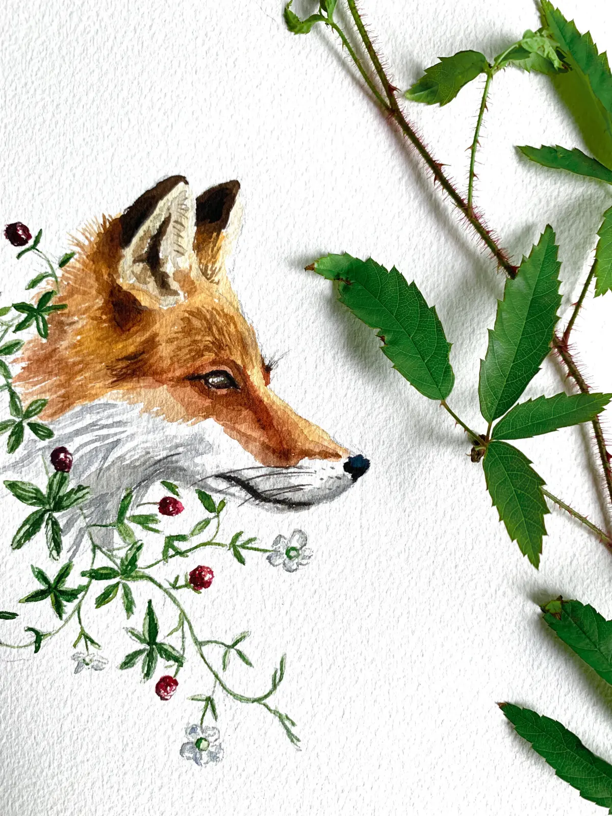 Time-Lapse Video: Fox Watercolor Painting