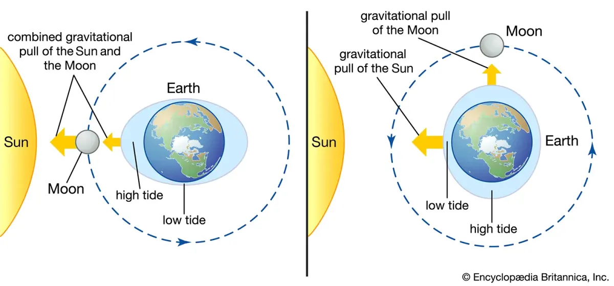 Causes tides — image 2