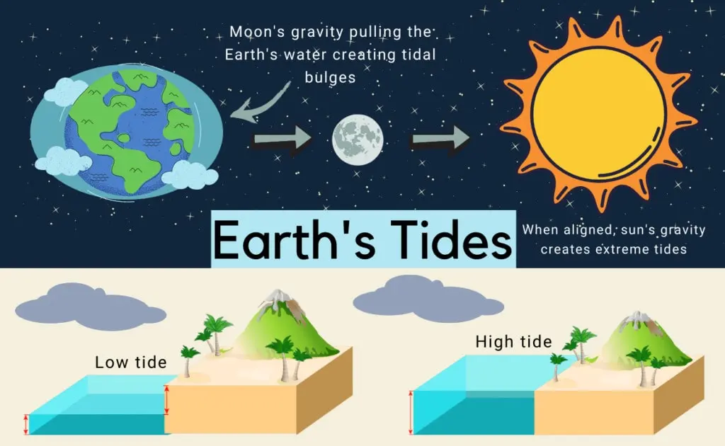 What Causes Tides?