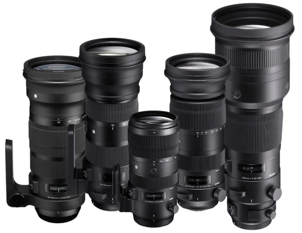What is a Zoom Lens and When to Choose a Zoom Lens?