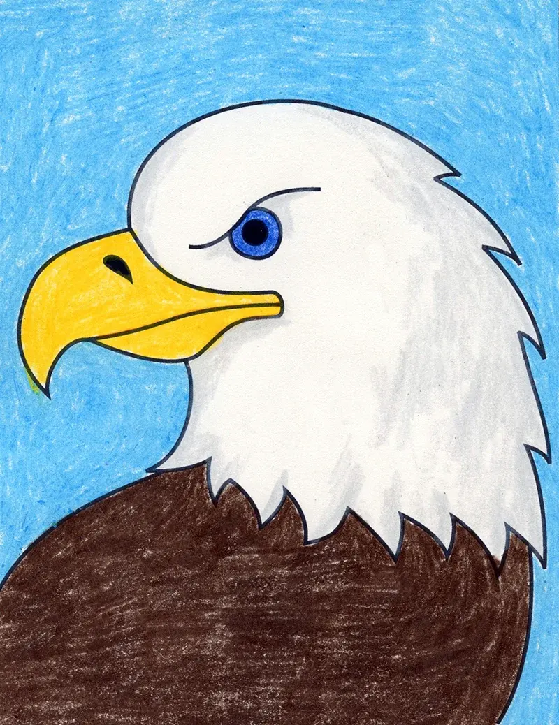 How to Draw a Bald Eagle: Easy Step-by-Step Art Lesson for Kids
