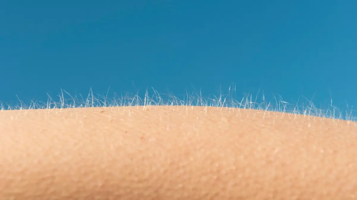 Why you get goosebumps when you're scared—or inspired