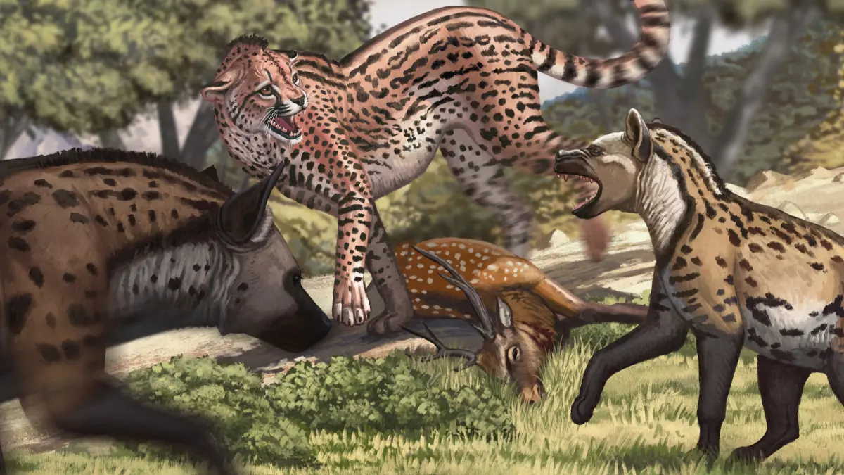 Big cheetahs — image 3