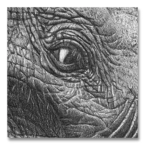 How to Draw Texture in Pencil: 7 Tips for Realistic Results