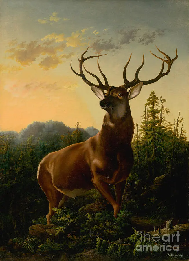 Deer In Forest Landscape by Heritage