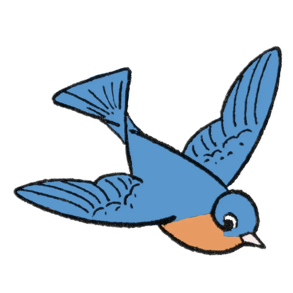 How to Draw a Bird Easy!