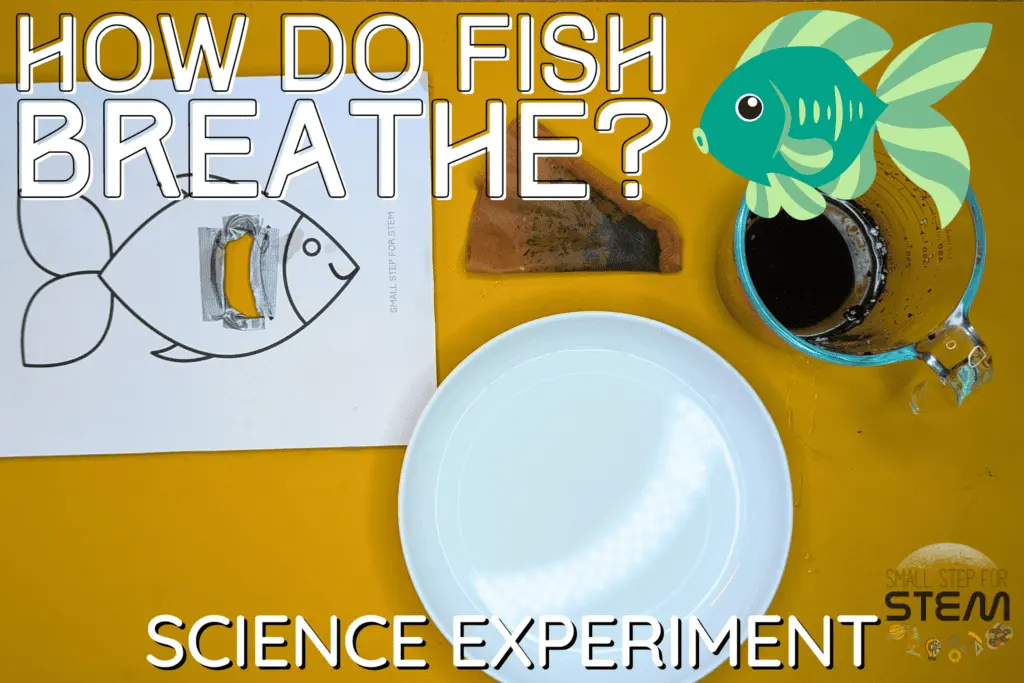 Fishy Facts: Uncovering Underwater Breathing