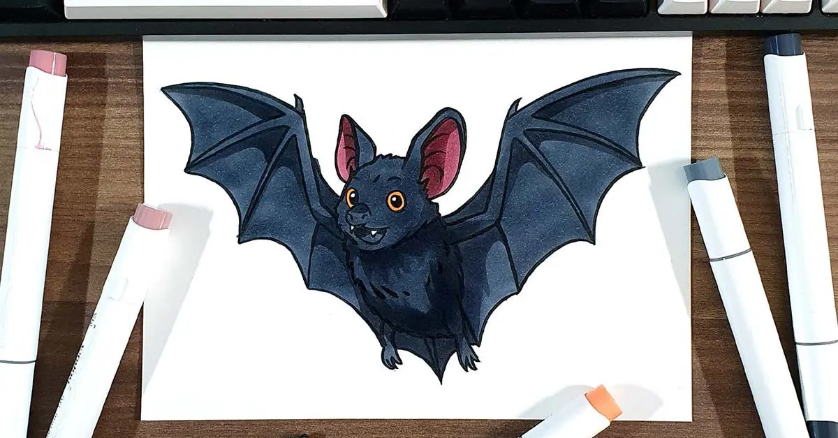 How to Draw a Bat Step by Step