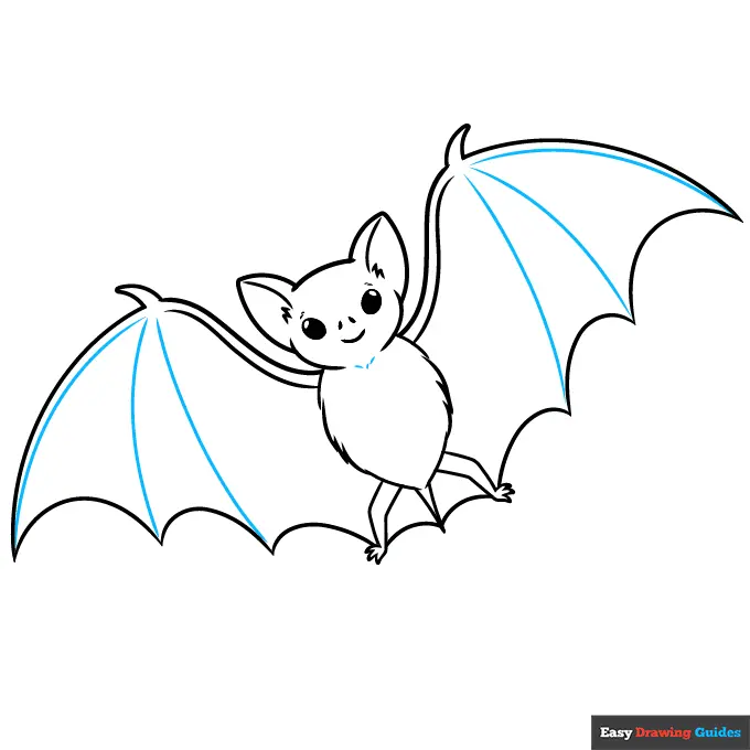 How to Draw a Bat Outline