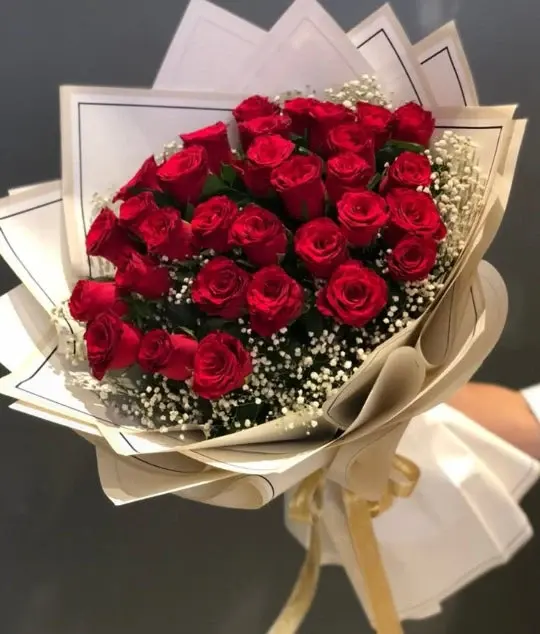 Rose Day 2026: Why Red Roses Remain the Ultimate Symbol of Love in Ind