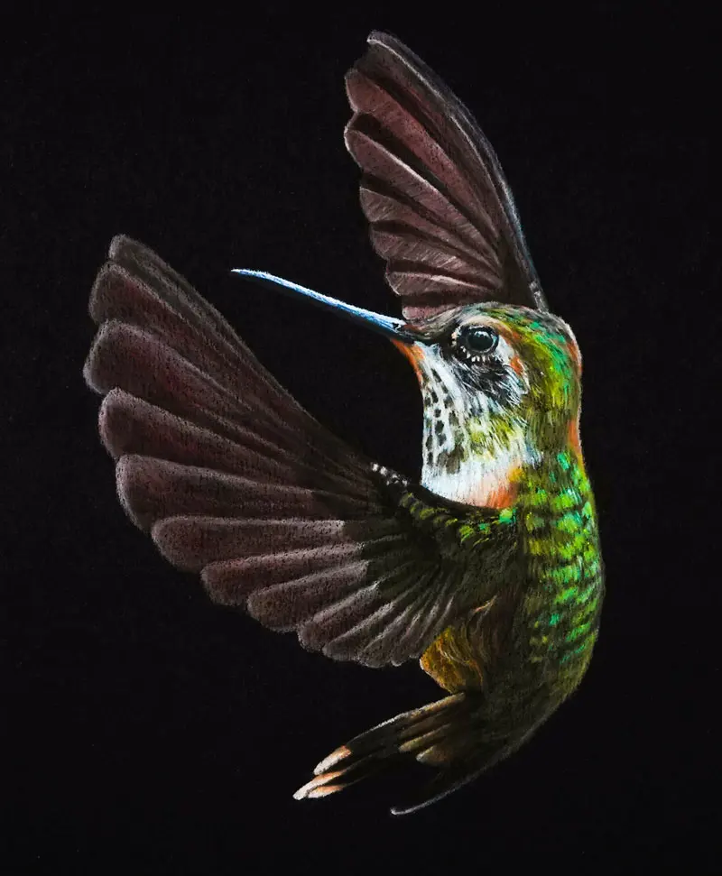 Drawing on Black Paper