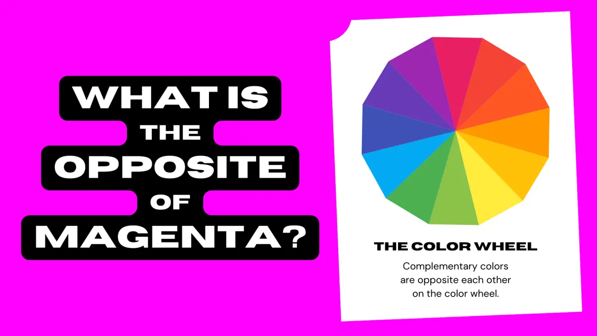 What Is the Opposite of Magenta? (Complementary Color)