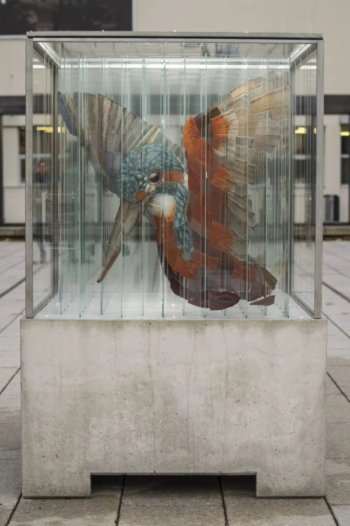 Endangered Animals Dissolve and Reassemble in Thomas Medicus's Anamorphic Glass Sculpture
