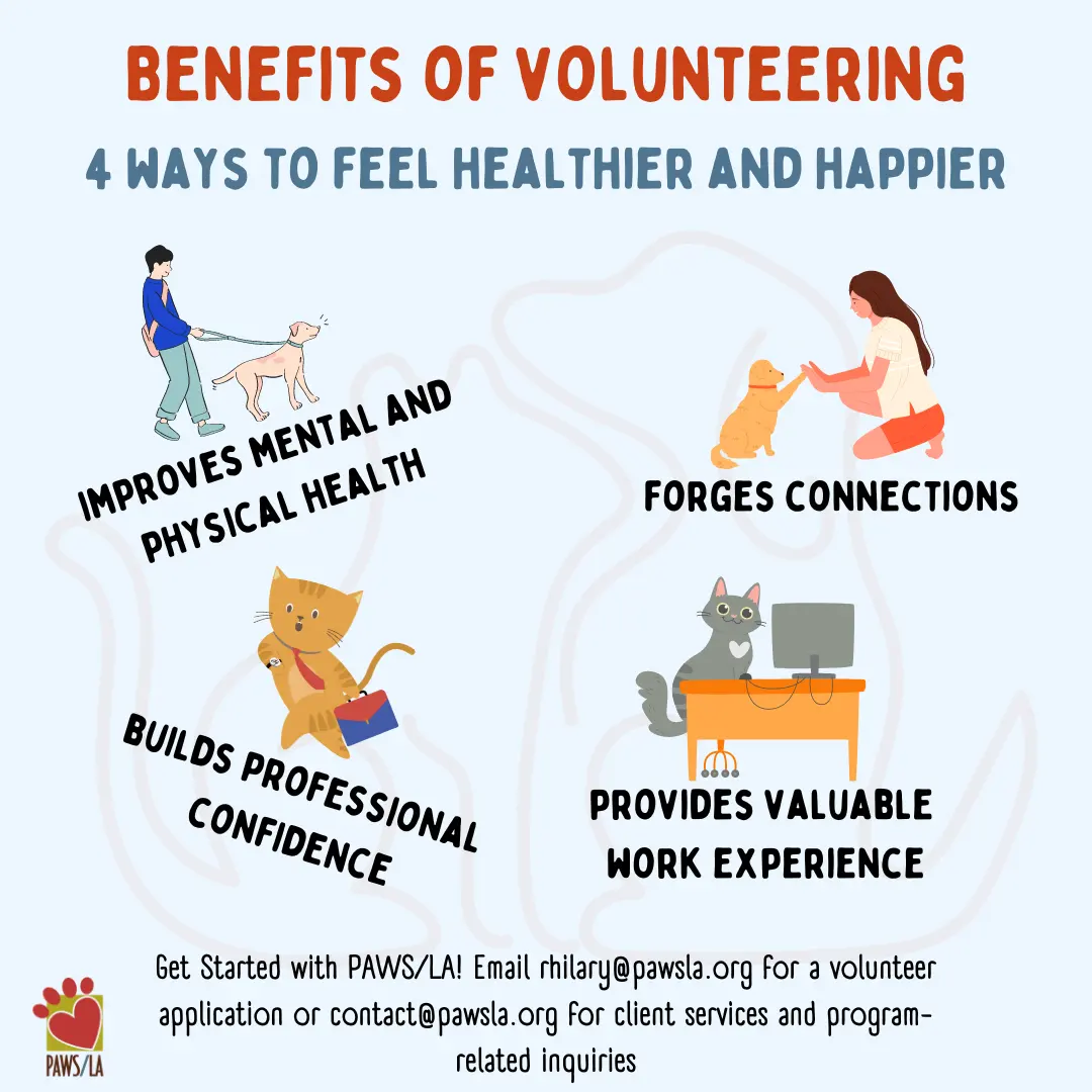 Benefits volunteering — image 2
