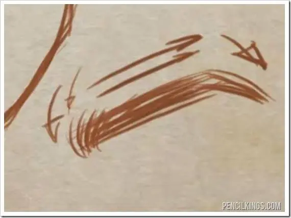 How To Draw Eyebrows For Male And Female Faces