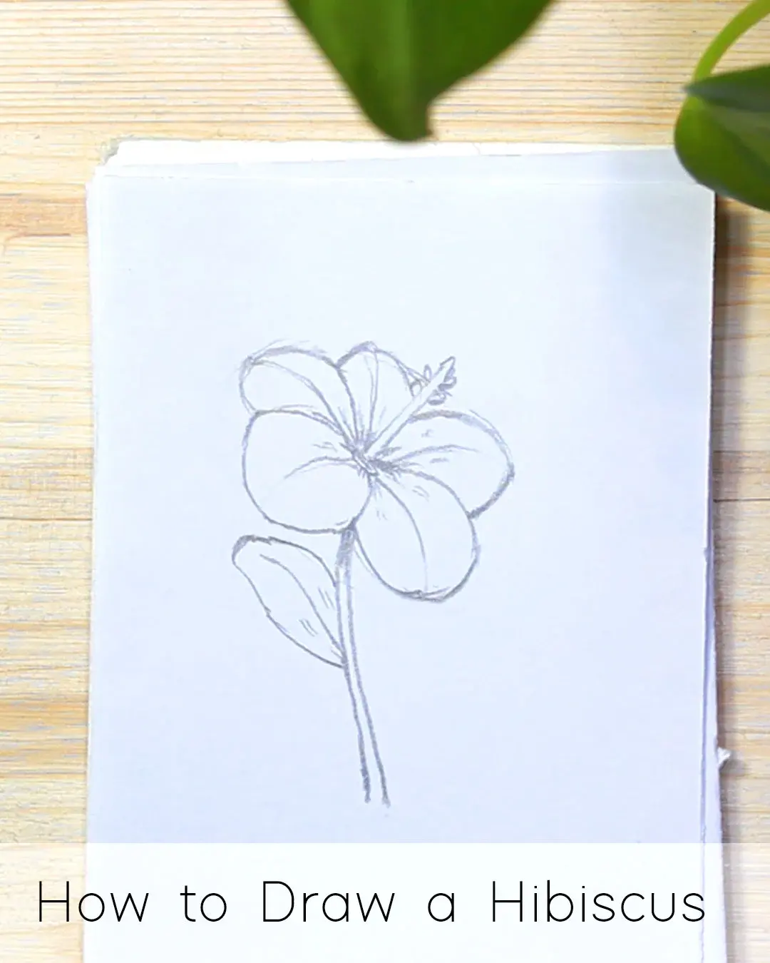 How to Draw Flowers: Step by Step Tutorials for Beginners