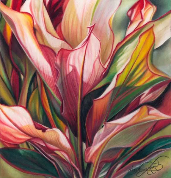 Drawing flowers, How to draw flowers, Lee Hammond artist, Art