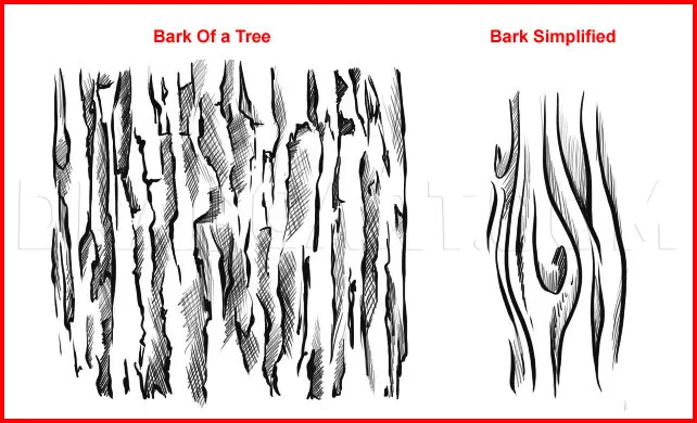 How To Draw Wood, Drawing, Step by Step, by Dawn