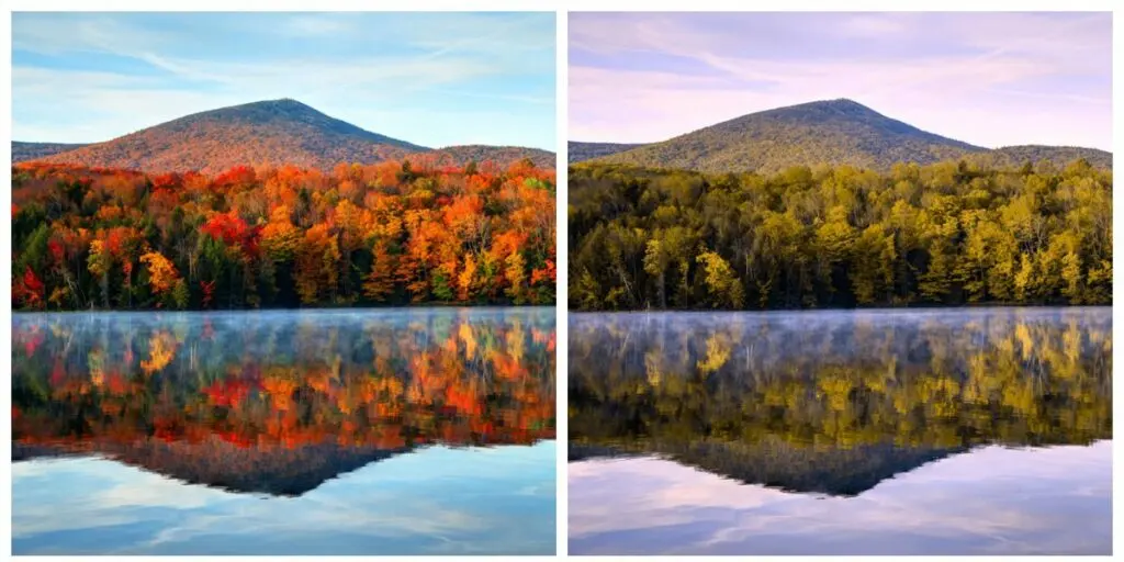 Color Blindness And Its Types