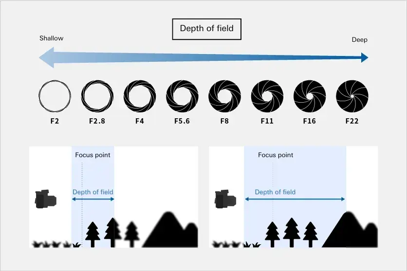 What is depth of field? Explanation of its meaning and how to use it in photography