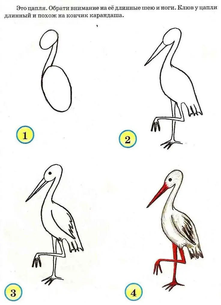 2016-06) ... en stork