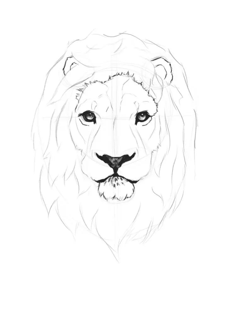 How to Draw a Realistic Lion like an Artist