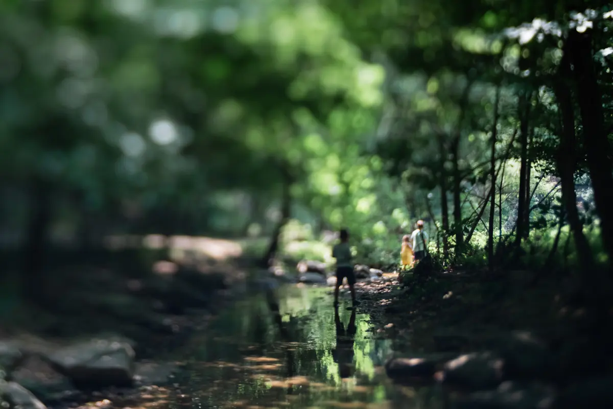 Before & after: How to edit in Lightroom without a preset
