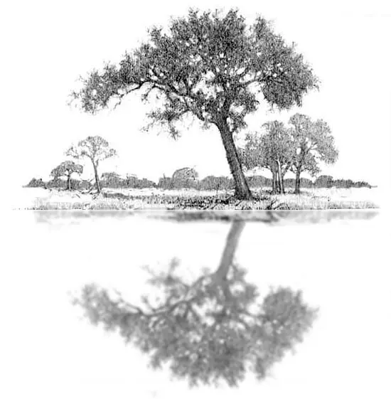 How to Draw Water in Pencil: Step By Step