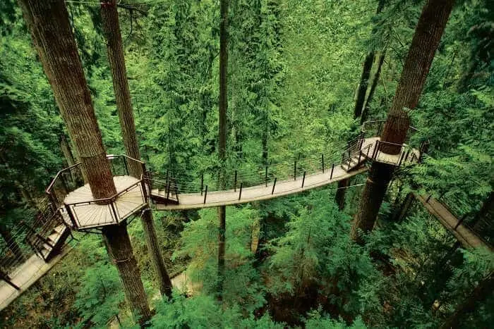 Capilano Suspension Bridge Park, North Vancouver