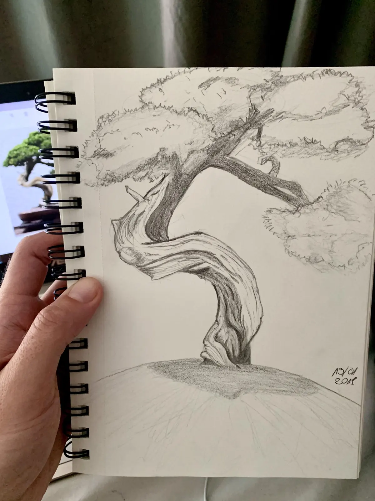 Bonsai Tree sketch for today's practice