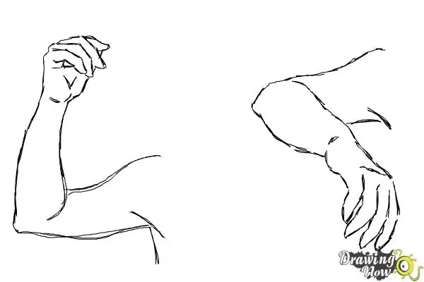 How to Draw Arms