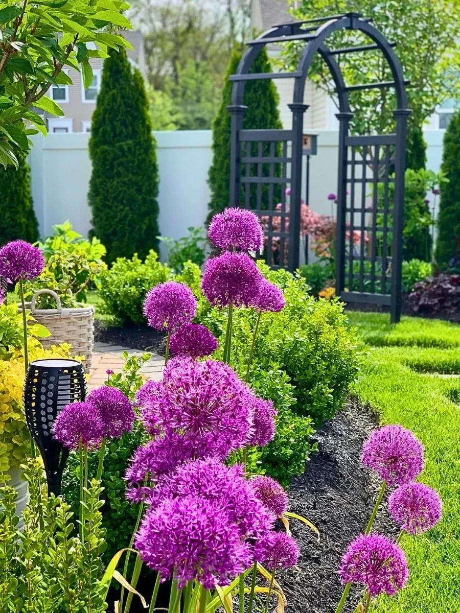 The Best 10 Summer Flowers That Bloom All Summer for Your Garden, Pottin
