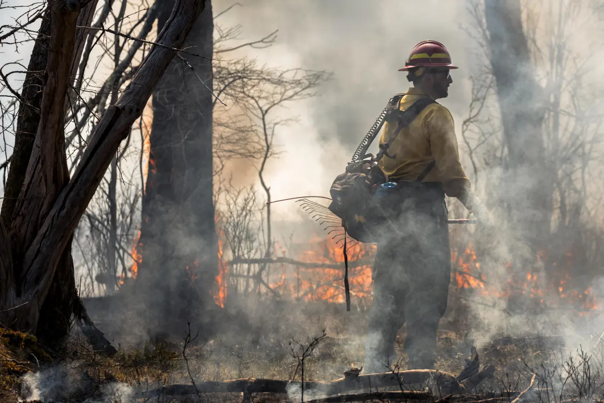 Photojournalism — image 2