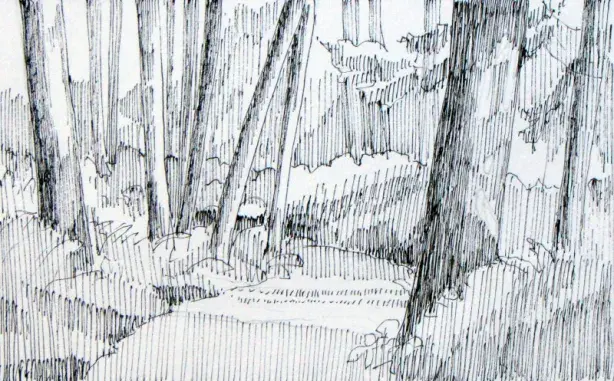 A Walk in the Woods