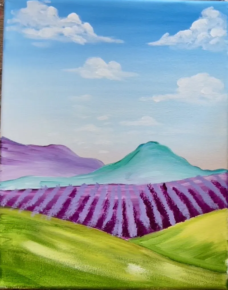 Lavender Fields