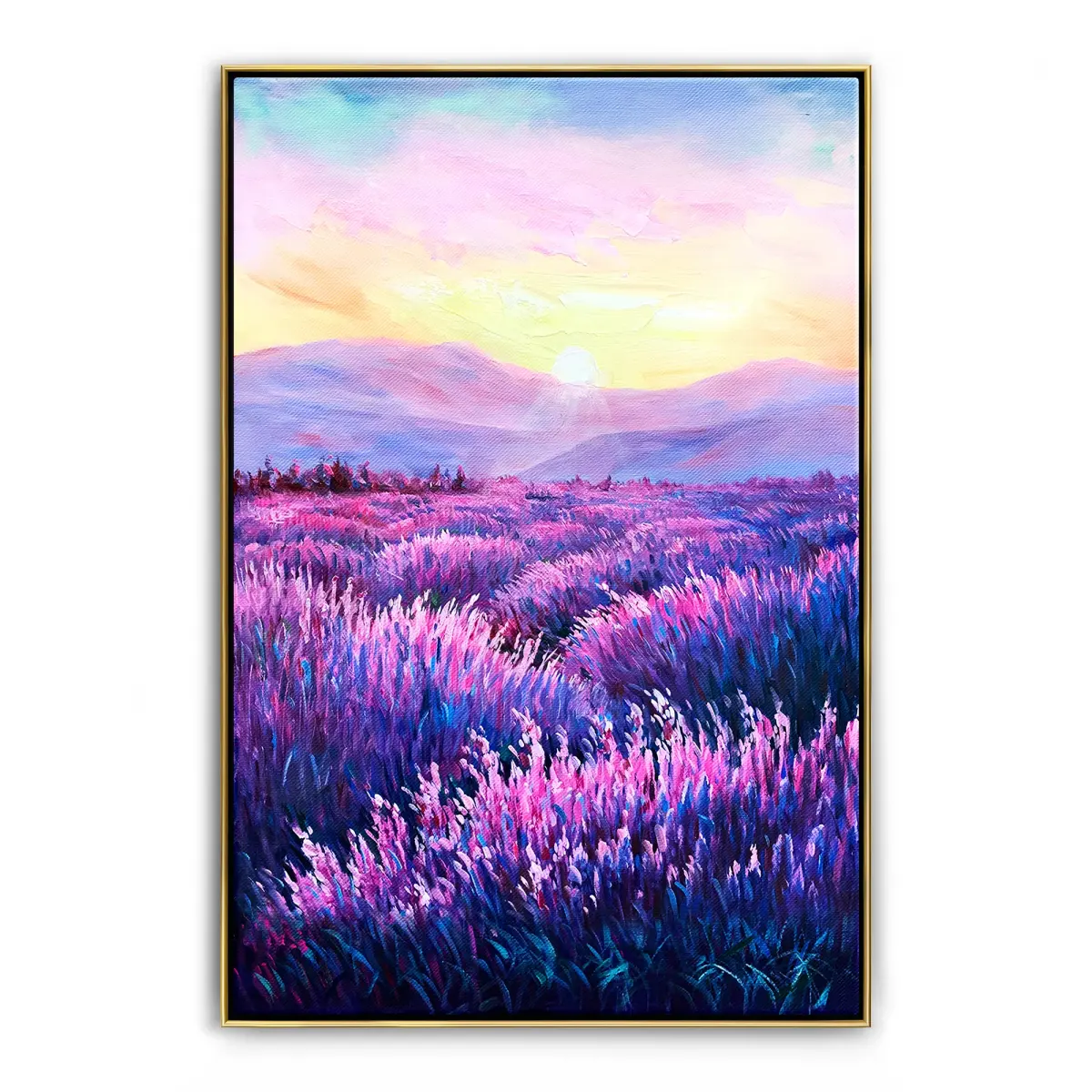Lavender Fields