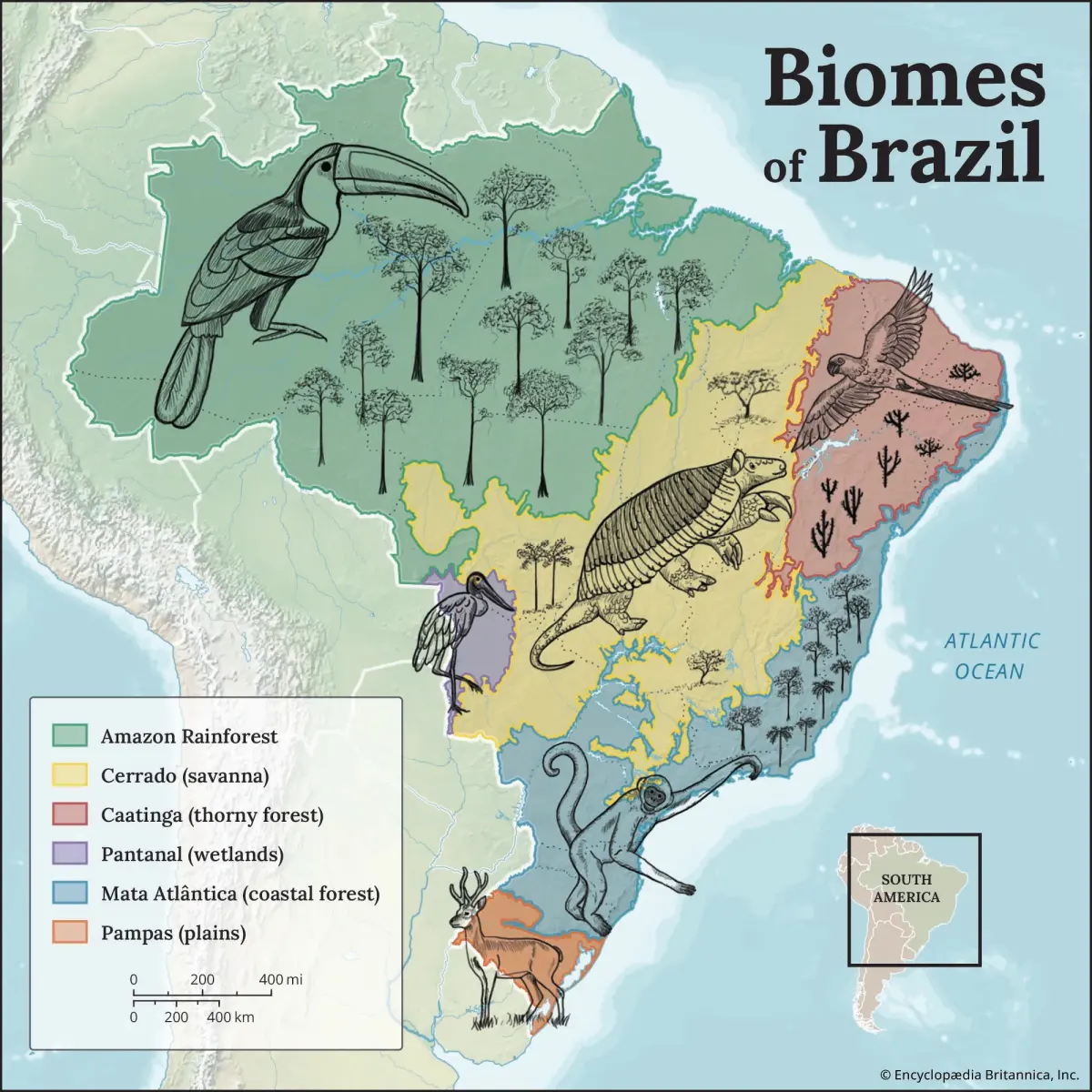 Biome