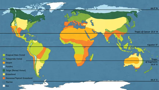 What is a Biome?