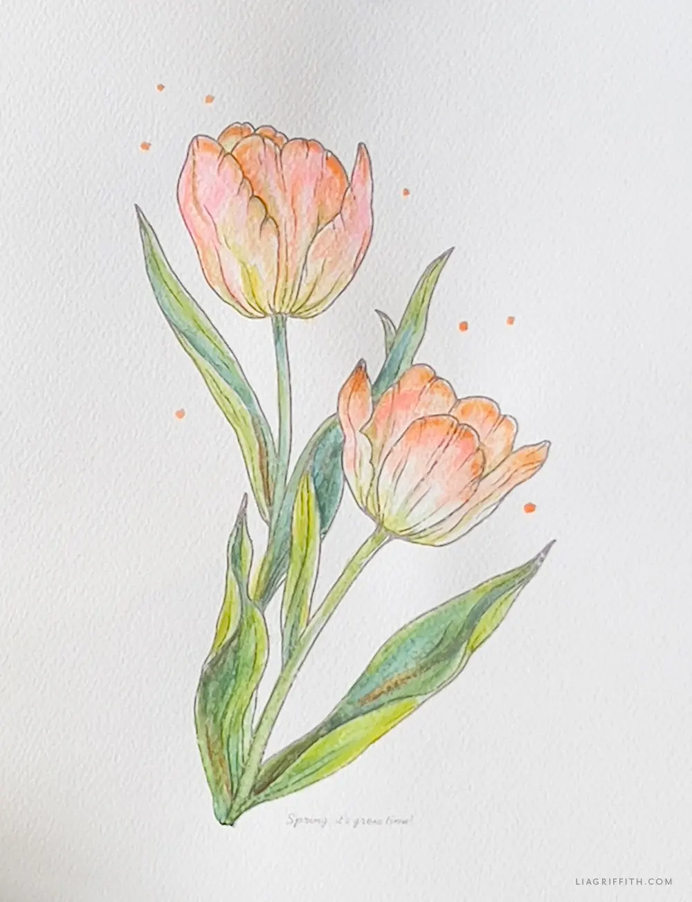 DIY Watercolor Techniques for Beautiful Tulips