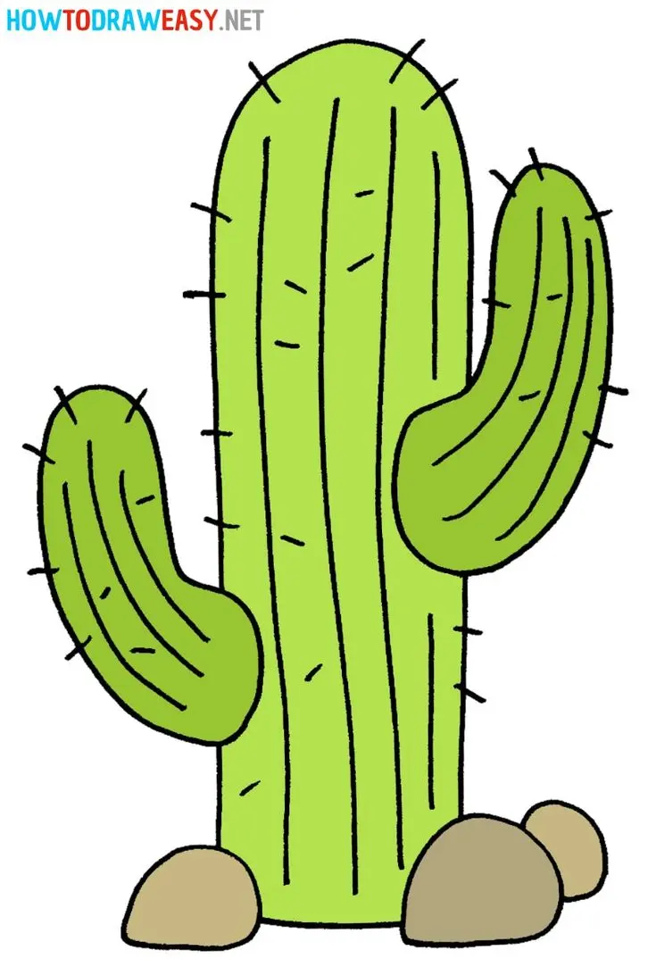 How to Draw a Cactus Step-by-Step