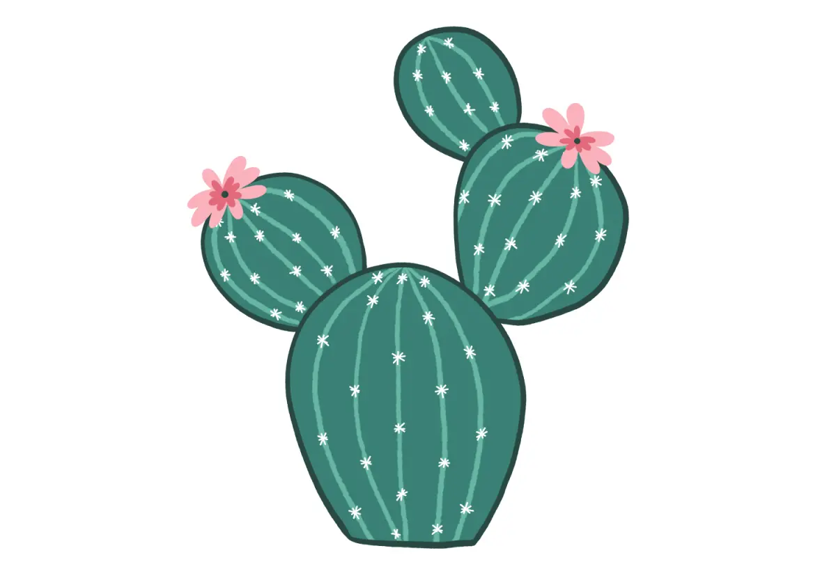 How to Draw a Cactus