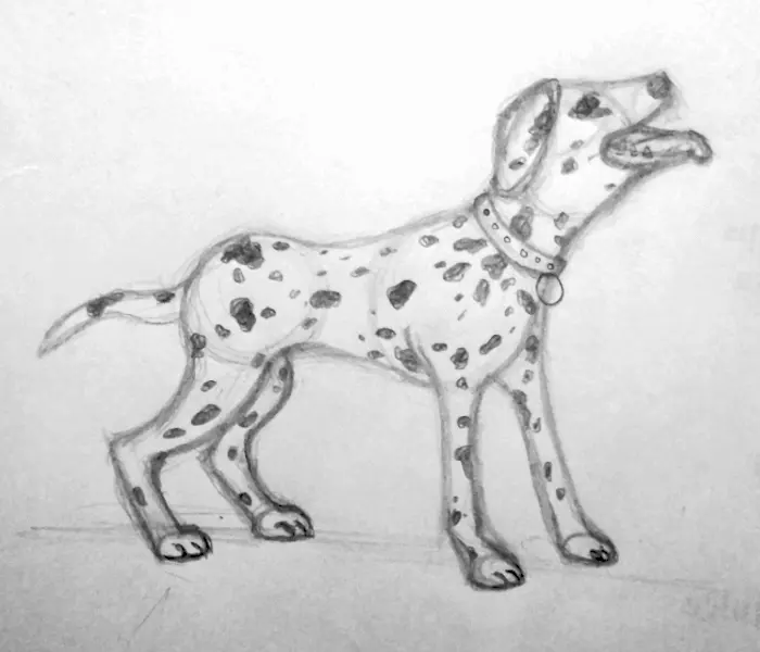 How to Draw a Dalmatian in 16 Steps